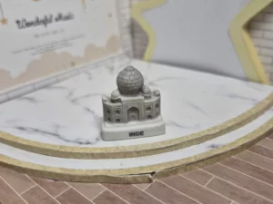 ST8D3 FEVE A L'UNITE MONUMENTS DU MONDE