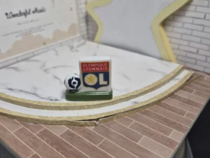 ST8G FEVE A L'UNITE LOGO  FOOT LYON