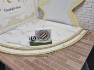 ST8G FEVE A L'UNITE LOGO  FOOT MONTPELLIER