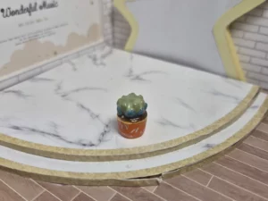 ST8G FEVE A L'UNITE CACTUS