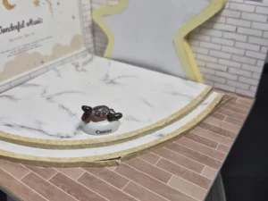 ST8G FEVE A L'UNITE ZODIAQUE CANCER