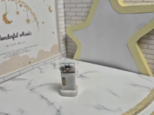 ST8H1 FEVE A L'UNITE DANS LA CUISINE