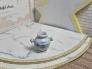 ST8H1 FEVE A L'UNITE DANS LA CUISINE