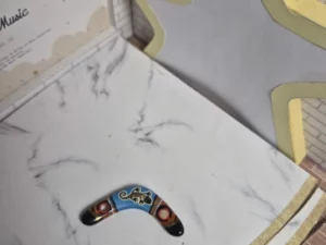 ST8J1 FEVE A L'UNITE BOOMERANGS