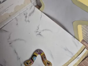 ST8J1 FEVE A L'UNITE BOOMERANGS