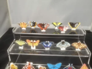 Accueil | Acheter sur Collec Store DVO12 SERIE INCOMPLETE DE FEVES LES PAPILLONS ATLAS
