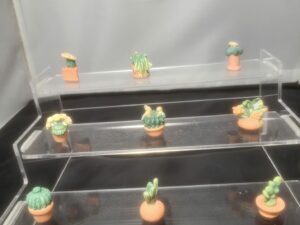DVO12 SERIE INCOMPLETE DE FEVES LES CACTUS