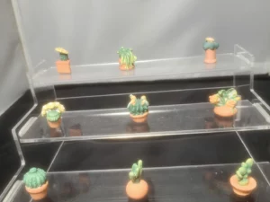 DVO12 SERIE INCOMPLETE DE FEVES LES CACTUS