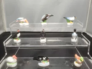 DVO13 LES OISEAUX MARINS BRILLANTS