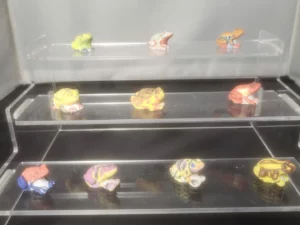 DVO11 LES GRENOUILLES