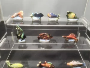 DVO11 LES POISSONS