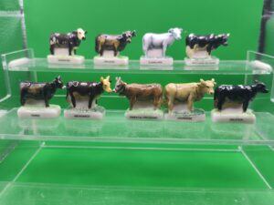 DVO15 LES VACHES