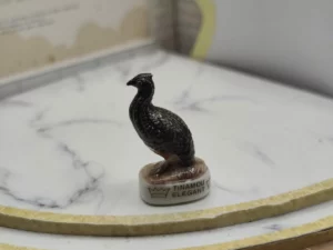 ST13 FEVES A L'UNITE LES OISEAUX