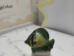 ST13 FEVES A L'UNITE LES POISSONS