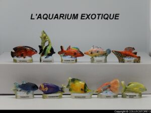 LES POISSONS EXOTIQUES