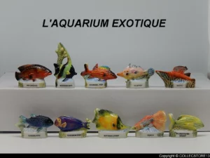 Accueil | Acheter sur Collec Store LES POISSONS EXOTIQUES