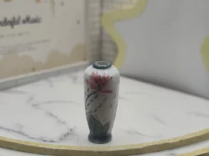 VR1A   FEVES A L'UNITE LES VASES