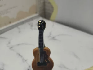 VR1C  FEVES A L'UNITE LA MUSIQUE
