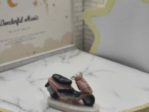 VR1D  FEVES A L'UNITE LES VEHICULES