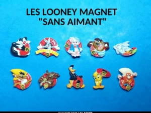 LA WARNER MAGNET (SANS AIMANT)