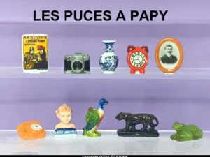 DVO3 LA BROCANTE DE PAPY