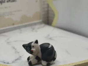 FEVES A L'UNITE VR1L LES CHATS