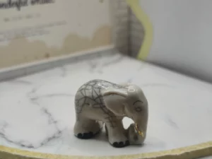 FEVES A L'UNITE VR1L LES ELEPHANTS