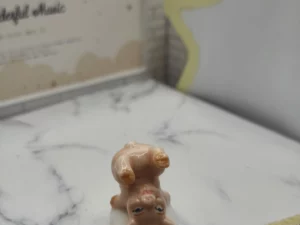 FEVES A L'UNITE VR1L LES COCHONS