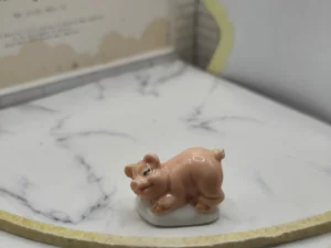 FEVES A L'UNITE VR1L LES COCHONS