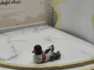 FEVES A L'UNITE VR1L LES CANARDS