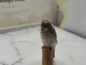 FEVES A L'UNITE VR1L LES OISEAUX